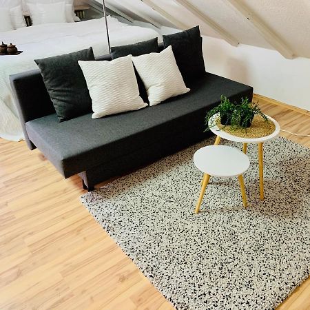 Studio Apartment In Direkter Naehe Zur Uniklinik Homburg Homburg  Eksteriør billede