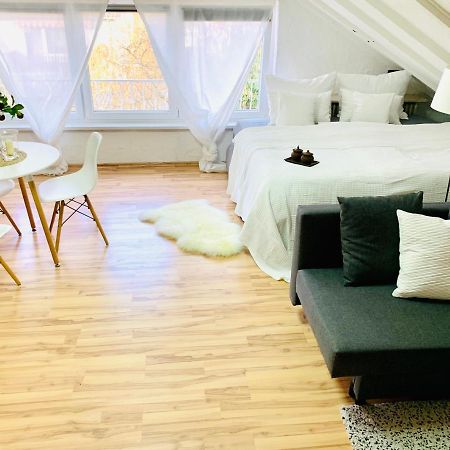 Studio Apartment In Direkter Naehe Zur Uniklinik Homburg Homburg  Eksteriør billede