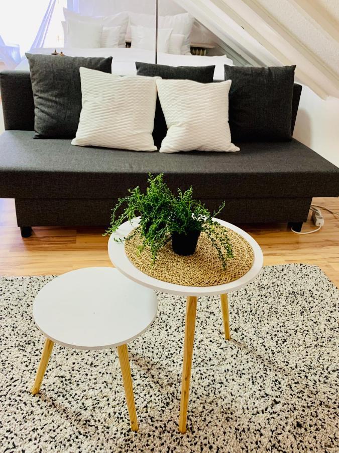Studio Apartment In Direkter Naehe Zur Uniklinik Homburg Homburg  Eksteriør billede