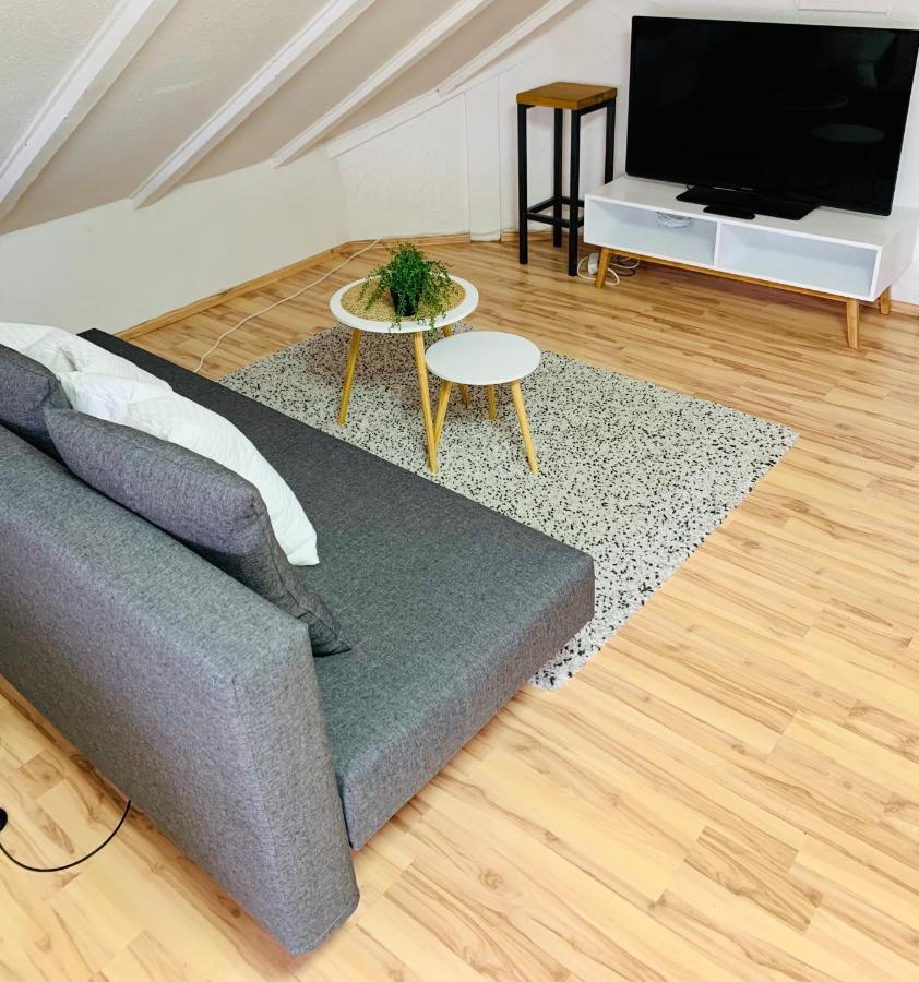 Studio Apartment In Direkter Naehe Zur Uniklinik Homburg Homburg  Eksteriør billede