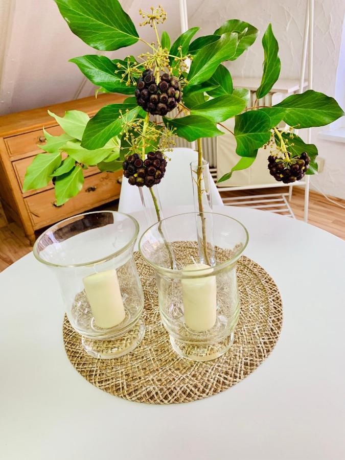 Studio Apartment In Direkter Naehe Zur Uniklinik Homburg Homburg  Eksteriør billede