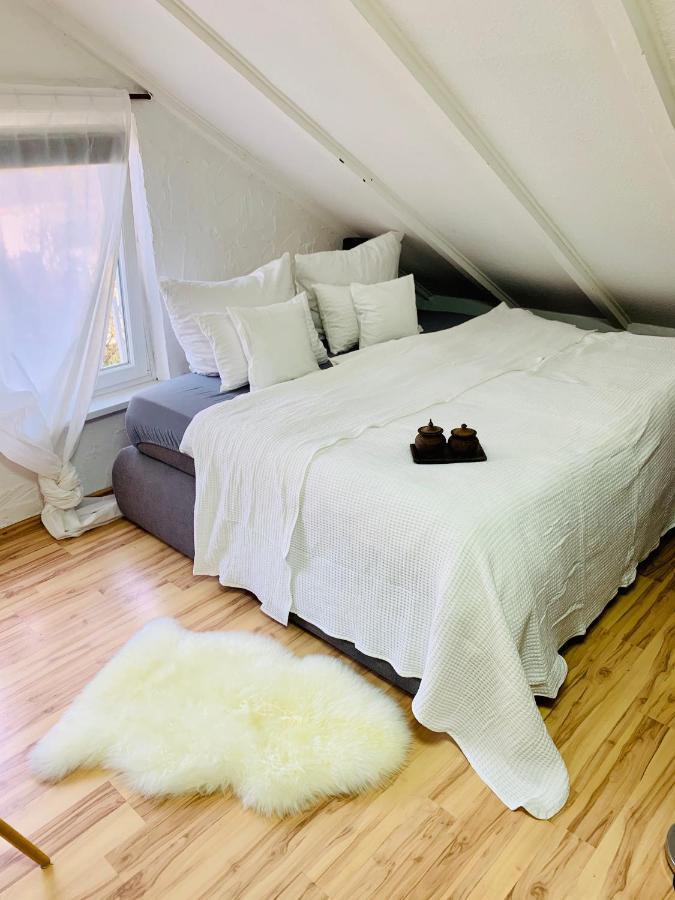 Studio Apartment In Direkter Naehe Zur Uniklinik Homburg Homburg  Eksteriør billede