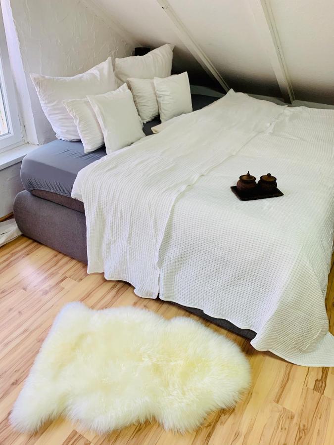 Studio Apartment In Direkter Naehe Zur Uniklinik Homburg Homburg  Eksteriør billede