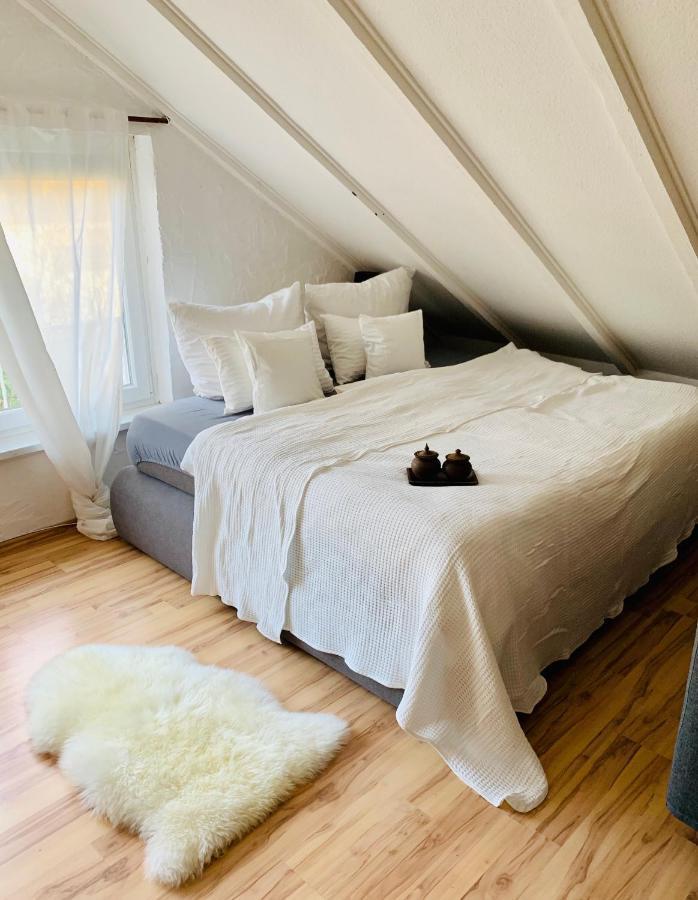 Studio Apartment In Direkter Naehe Zur Uniklinik Homburg Homburg  Eksteriør billede