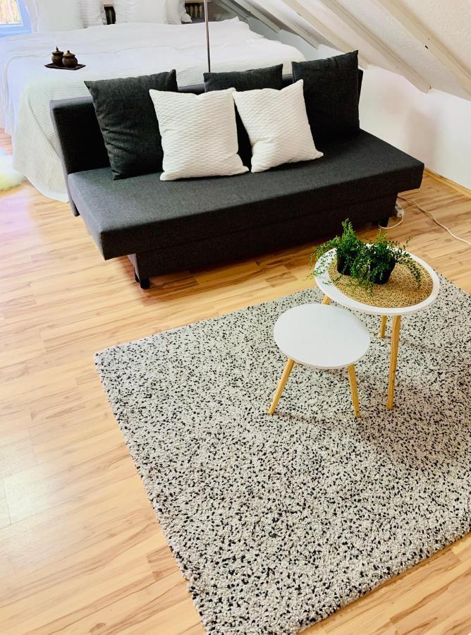 Studio Apartment In Direkter Naehe Zur Uniklinik Homburg Homburg  Eksteriør billede
