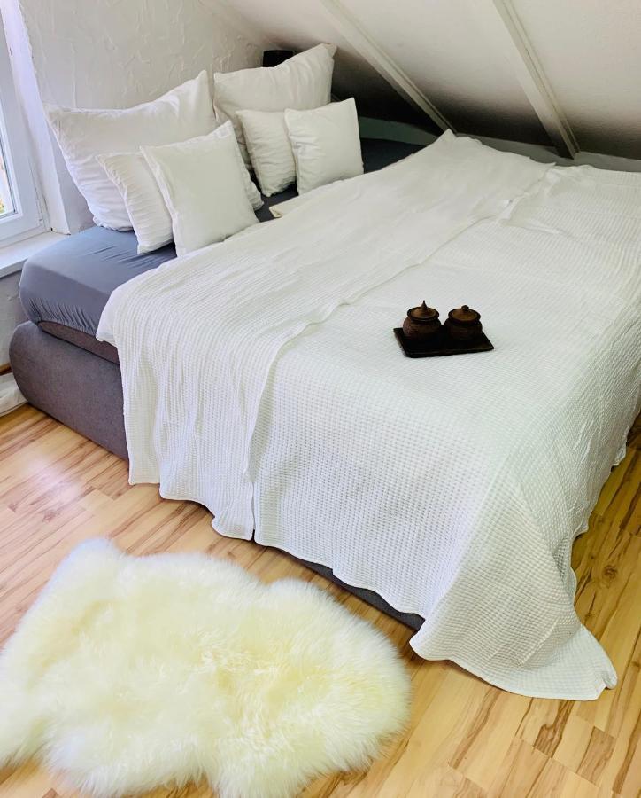 Studio Apartment In Direkter Naehe Zur Uniklinik Homburg Homburg  Eksteriør billede