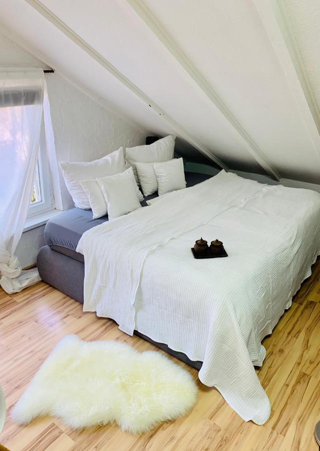 Studio Apartment In Direkter Naehe Zur Uniklinik Homburg Homburg  Eksteriør billede