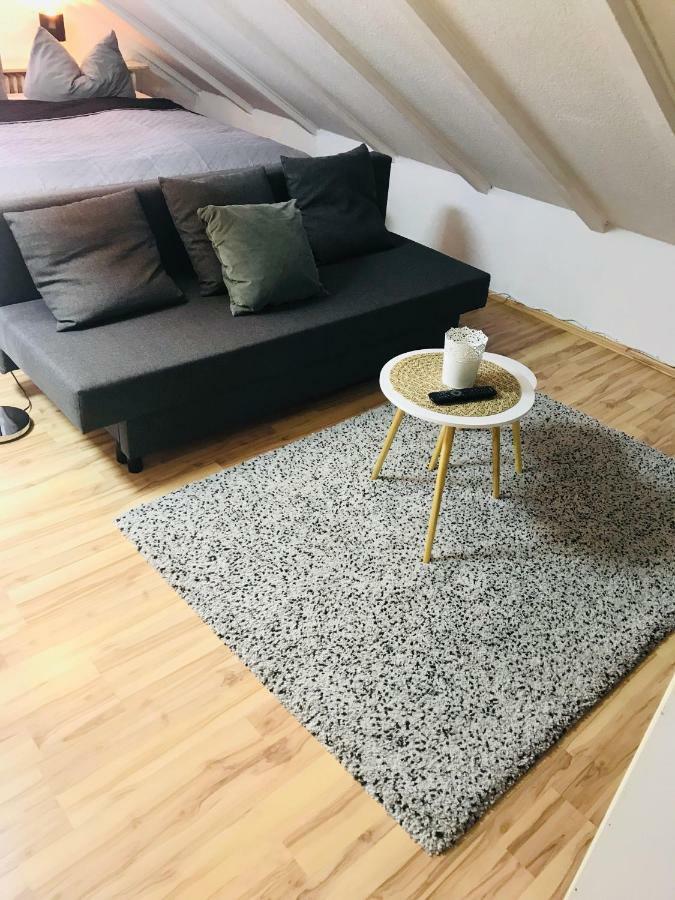 Studio Apartment In Direkter Naehe Zur Uniklinik Homburg Homburg  Eksteriør billede